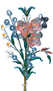 kvetina.gif (21688 bytes)